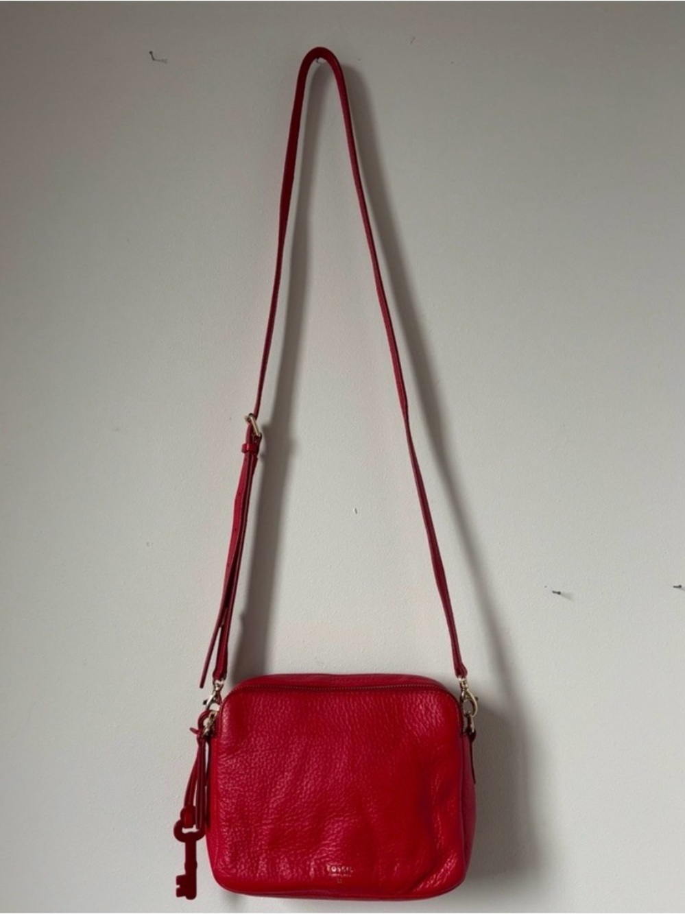 Fossil Crossbody Bag